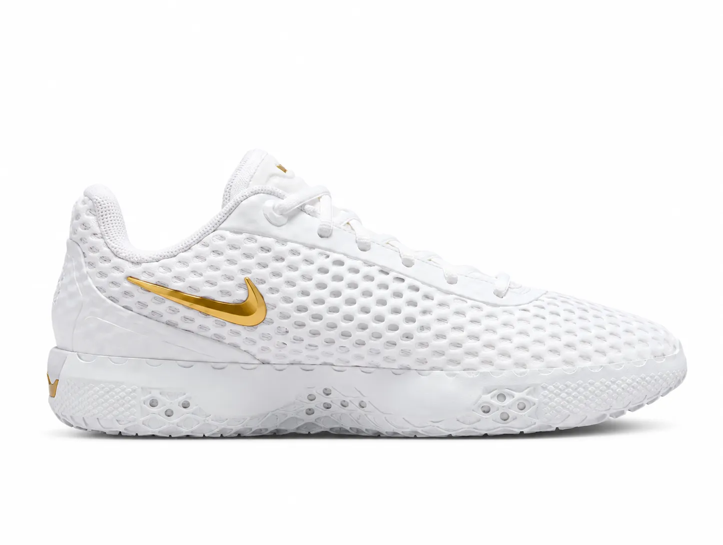Nike LeBron Witness X EP